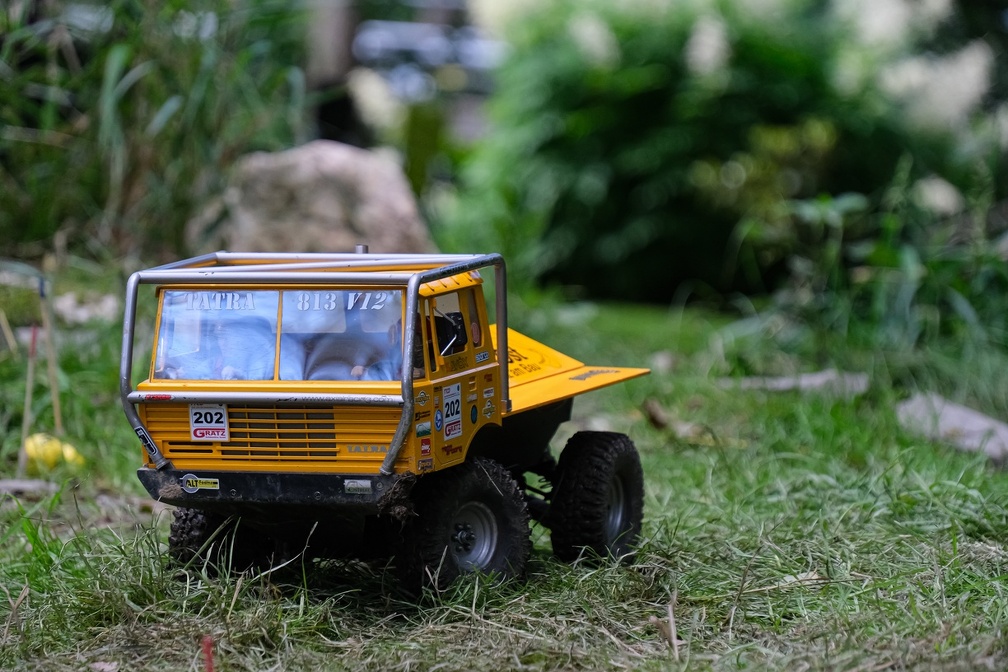 Ostrial-Stelzendorf-Tatra813-2024
